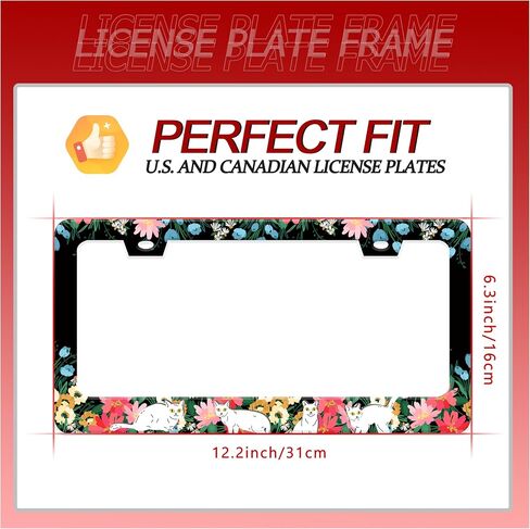 Personalized License Plate Frame Cat Flowers Stainless Steel Accessory Pet License Plate Holder Funny Car Decorative 2 Holes Screws Fits Us Standard License Plates 12.2 X 6.3 in for Men Women in Kuwait