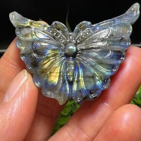 TEAMWILL 2" Natural Labradorite Carved Butterfly Skull Quartz Crystal Healing Reiki