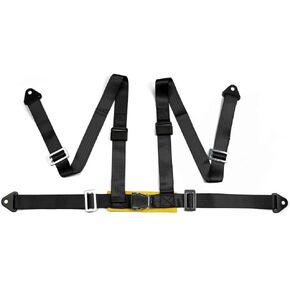 eat Belts Style Competition 4 Point Snap-In 2" Seat Belt Racing Harness safety belt seat harness with Camlock (Blcak)
