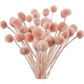 Uieke 20Pcs Dried Craspedia Flowers Fake Dried Billy Button Balls Flowers Artificial Faux Dried Pink Flowers for Office Party DIY Wedding Pink Home Wall Bathroom Room Décor