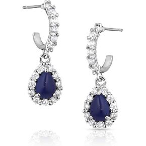Montana Silversmiths Cherished Treasure Earrings - ER5771