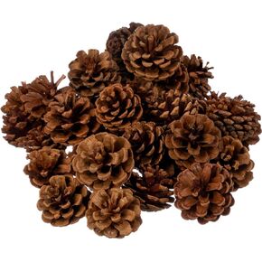 Highly Scented Apple Splendor Pinecones - Varied Sizes Perfect for Vase Fill, DIY Crafts and Projects - Traditional and Rustic Kitchen Décor or Fall, Thanksgiving and Holiday Decorations