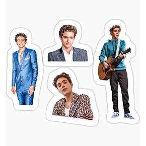 Joshua Bassett Stickers Sticker - Peel and Stick Easy to Remove - Sticker Graphic - Die Cut