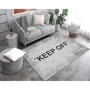 Keep Off Area Rugs Grey 3D Printed Modern Large Carpet Non-Slip Floor Mat Rugs for Bedroom Livingroom Playroom Home Decor Mat 2' x 3'
