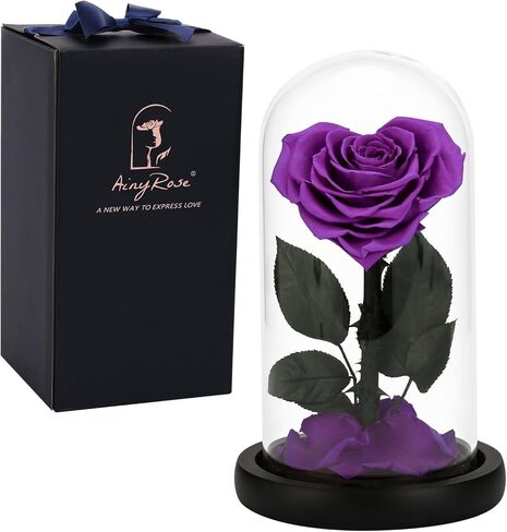 هدايا عيد ميلاد زهرة الورد الحقيقية المحفوظة إلى الأبد للنساء، هدايا عيد الحب زهرة أبدية في هدايا زجاجية لعيد الحب وعيد الأم وعيد الميلاد والذكرى السنوية لعيد الميلاد (أرجواني) in Kuwait
