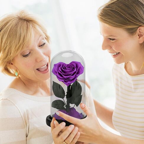 هدايا عيد ميلاد زهرة الورد الحقيقية المحفوظة إلى الأبد للنساء، هدايا عيد الحب زهرة أبدية في هدايا زجاجية لعيد الحب وعيد الأم وعيد الميلاد والذكرى السنوية لعيد الميلاد (أرجواني) in Kuwait