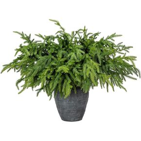 Briful 20PCS Christmas Norfolk Pine Branches Real Touch Norfolk Pine Stems DIY Crafts Artificial Christmas Norfolk Pine Branches for Xmas Garland Wreaths Indoor Outdoor Decor(22.5 Inches)