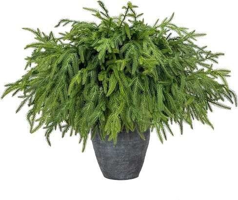 Briful 20PCS Christmas Norfolk Pine Branches Real Touch Norfolk Pine Stems DIY Crafts Artificial Christmas Norfolk Pine Branches for Xmas Garland Wreaths Indoor Outdoor Decor(22.5 Inches) in Kuwait