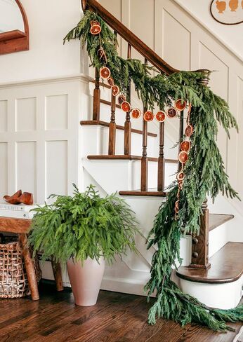 Briful 20PCS Christmas Norfolk Pine Branches Real Touch Norfolk Pine Stems DIY Crafts Artificial Christmas Norfolk Pine Branches for Xmas Garland Wreaths Indoor Outdoor Decor(22.5 Inches) in Kuwait