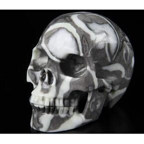 2.0"Rare Fossil Crystal Skull, Hand Carved Gemstone Fine Art Sculpture, Reiki Healing Stone Statue.