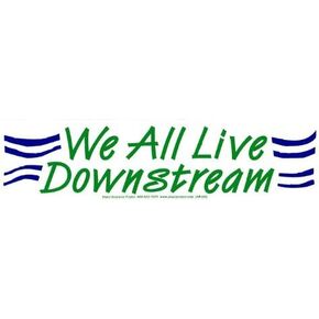 "We All Live Downstream" – Bumper Sticker/Decal (10" X 2.5")