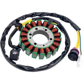 Road Passion 2.1.01.2060 2.1.01.2010 Stator Coil Compatible with Buyang 300 Feishen 300cc Big power, Buyang 300cc ATVs FA-H300, FA-D300-300cc ATV 300B (2x4, 4x4 and 4x4 IRS)