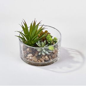 WORTH IMPORTS 5.5" Round Glass Container Succulent, Green, Brown