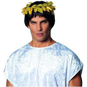 Rubies Adult Greek Leaf Wreath, Gold for themed parties and Halloween