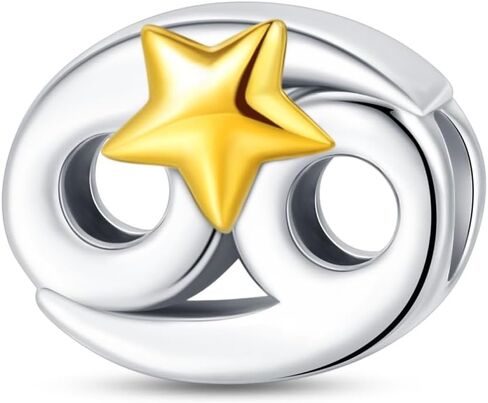 Silver Charms for Pandora Bracelets and Necklaces 12 Horoscope Pendant for Women Jewelry Gifts in Kuwait
