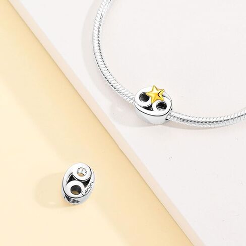 Silver Charms for Pandora Bracelets and Necklaces 12 Horoscope Pendant for Women Jewelry Gifts in Kuwait