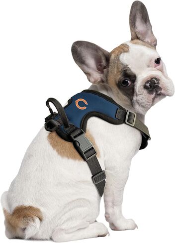 Littlearth Carolina Panthers NFL Front Clip Pet Harness in Saudi Arabia