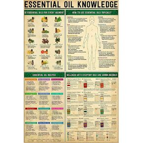 Generic Essential Oil Knowledge Metal Tin Sign 15 Essential Oils For Every Ailment Funny Poster School Education Cafe Living Room Kitchen Bathroom Home Art Wall Decoration Plaque Gift