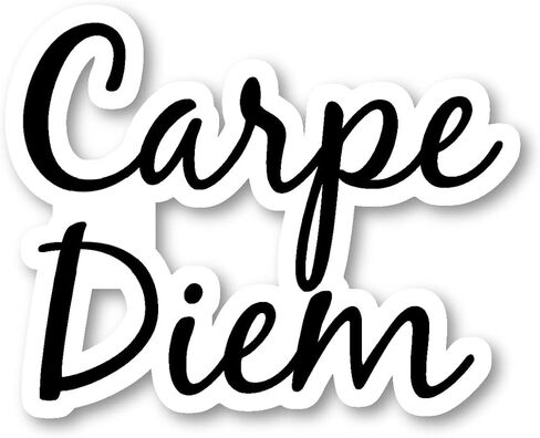 Carpe Diem Sticker Motivational Quotes Stickers - 3 Pack - Set of 2.5, 3 and 4 Inch Vinyl Laptop Stickers - for Laptop, Phone, Water Bottle, Car & More Decal (3 Pack) S214665-3Pack in Saudi Arabia