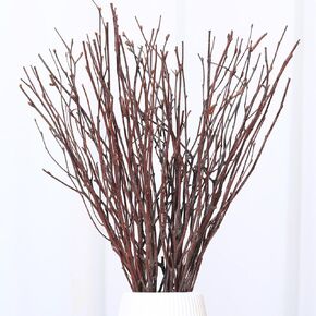 30Pcs Real Dried Birch Twigs - 17" Golden Decorative Birch Branches for Vase, Centerpiece, Wedding Decor, Birch Sticks for DIY Crafts, Twig Wreath, Flower Arrangement, Plants for Rustic Home Decor