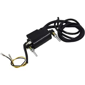 labwork 12V Dual Wire Ignition Coil Replacement for Honda Replacement for Kawasaki Replacement for Yamaha Replacement for Suzuki