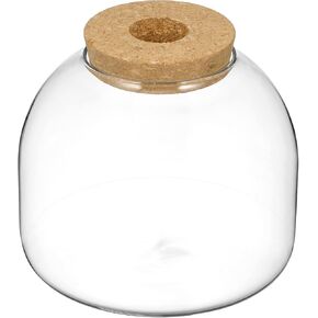 Cork Glass Bottle Terrarium Container Small Terrarium Ecosystem Terrarium Plant Terrarium Glass Terrarium Micro Landscape Container Terrarium Glass Containers Terrarium Plants
