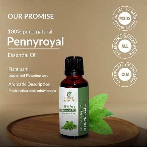 Pennyroyal Oil (Mentha Pulegium) Essential Oil 100% Pure Natural Undiluted Uncut Therapeutic Grade Oil 0.16 Fl.OZ in Kuwait