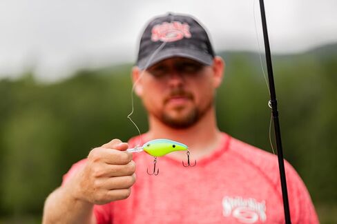 Strike King (HC6XD-584) Promodel Crankbait S6XD Fishing Lure, 584 - Oyster, 1 oz, Unique Curved Bill and Balance in Saudi Arabia