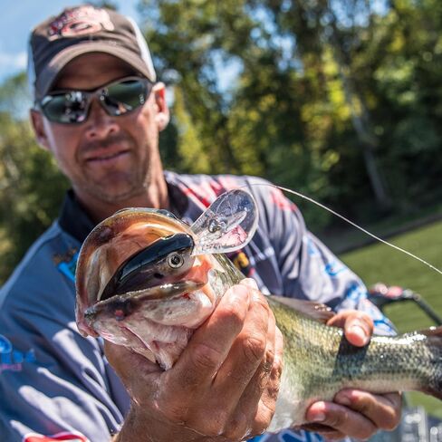Strike King (HC6XD-584) Promodel Crankbait S6XD Fishing Lure, 584 - Oyster, 1 oz, Unique Curved Bill and Balance in Saudi Arabia