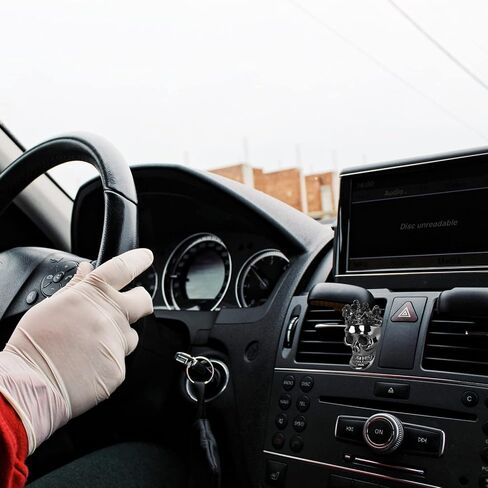 VICASKY مشابك تهوية رأس جمجمة، 3 قطع موزع معطر هواء للسيارة، مشبك تهوية سحري لتزيين السيارات الداخلية، موزع روائح السيارة اللامعة in Kuwait