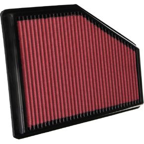 AEM 28-50049 DryFlow Air Filter