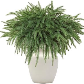 Alynsehom 12PCS Christmas Norfolk Pine Branches, 18in Real Touch Artificial Norfolk Pine Greenery Stems Faux Cedar Pine Needles for Garland Wreath Crafts DIY Indoor Outdoor Home Xmas Decor