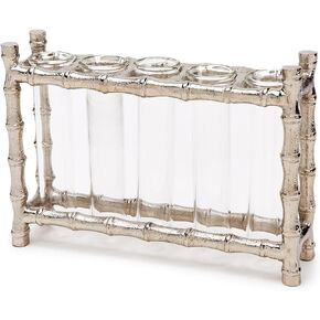 Two's Company Silver Bamboo Rack Vase, Aluminum and Glass, Set Includes 5 Glass Vials