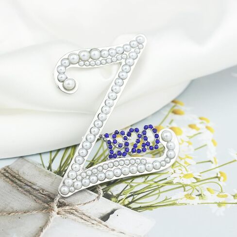 Scwasen ZPB Brooch Pin for Women Soror 1920 ZPB Gift Greek Sorority Gift Paraphernalia Jewelry for Finer Women Gift in Saudi Arabia