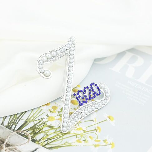 Scwasen ZPB Brooch Pin for Women Soror 1920 ZPB Gift Greek Sorority Gift Paraphernalia Jewelry for Finer Women Gift in Saudi Arabia