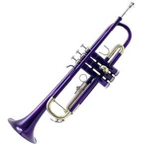 SKYPTR101-PR Trumpet, Bass