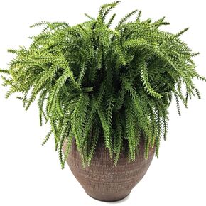 GXXMEI 52PCS 13" Christmas Norfolk Pine Picks, Norfolk Pine Artificial Christmas Branches DIY Crafts Faux Christmas Norfolk Pine Branches for Xmas Indoor Outdoor Home Decor