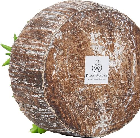 نباتات عصارية منزلية متنوعة بطول 20.32 سم - ترتيبات خضراء في مزارع خرسانية مزخرفة للداخل أو المكتب من بيور جاردن (مجموعة من 2) in Kuwait