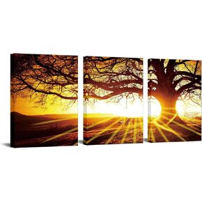 Nachic Wall 3 Panels Wall Art Canvas Prints Big Trees in Sunset Pictures Relax Natural Landscape Painting Ready to hang for Home Office Living Room Bedroom Wall Decor with Frame Ready to Hang