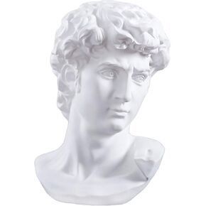 Cozylkx 11.4 Inch Premium Resin Greek Michelangelo David Bust Statue Replica Sculpture Home Art Decor, White