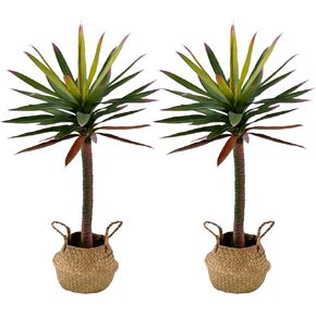 2.6FT Artificial Tree Dracaena Faux Plant House Plants Evergreen Dracaena Marginata Fake Yucca Palm Trees in Pot Realistic Dragon Tree for Living Room Home Office Decor, 2 Pack