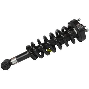 Motorcraft Strut