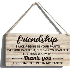 Friends Signs Gift Farmhouse Friendship is Like Peeing in Your Pants Wooden Hanging Sign Rustic Wall Art Home Bathroom Decoration 12 x 6 Inches