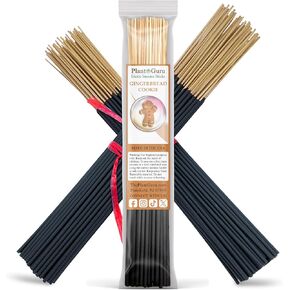 Gingerbread Cookie Exotic Incense Sticks 11 Inch - Bulk 1 Bundle 45 to 50 Sticks - Natural 11" Long Lasting Aroma That Burns for 45 to 60 Minutes.