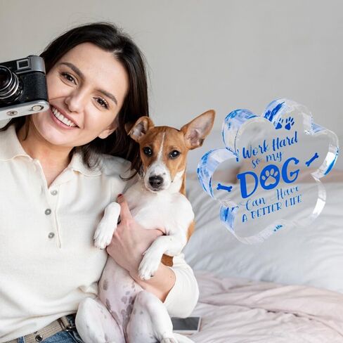 Best Funny White Elephant Coworker Christmas Gifts Christmas Surprise For Pet Owner Family With Pet Gifts 2024 Stocking Stuffers Dog Mom Gifts For Women Dog Lovers Gifts Cute Dog Room Decor in Saudi Arabia