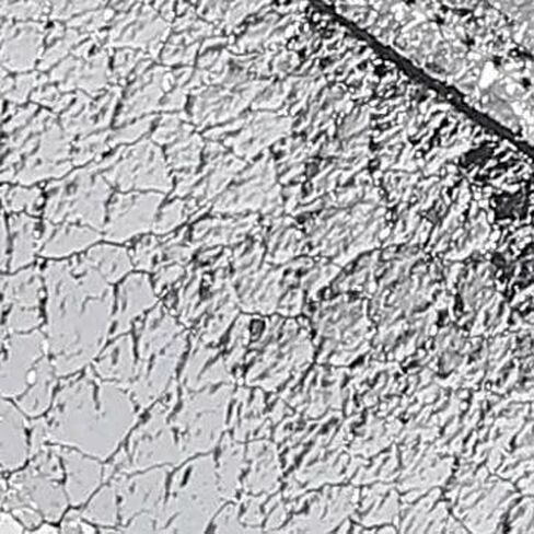 Frye Women's FR40843 Ivy Court Low Lace Sneaker, Steel - 8M in Kuwait