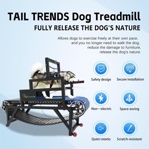 Dog Treadmill with Disc Brake, Resistance Adjustment & Speedometer, Upgraded PE Slatmill for Large & Medium Dogs, Easy to Move Pet Running Machine for Indoor & Outdoor, Up to 300LBS in Saudi Arabia
