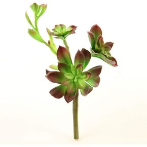 Green 9.5" L Succulent Stem x 4