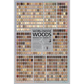The Wood Database Worldwide Woods Poster