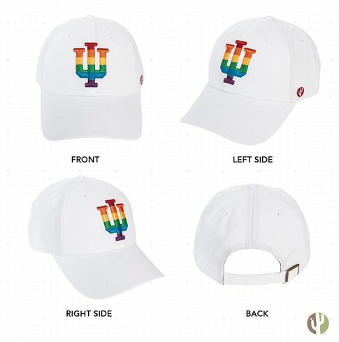 Desert Cactus Indiana University Baseball Hat Hoosiers Bloomington Brimmed Embroirderd Hats Cap Adjustable Cloth Strap Adult (Style B1) White in Saudi Arabia